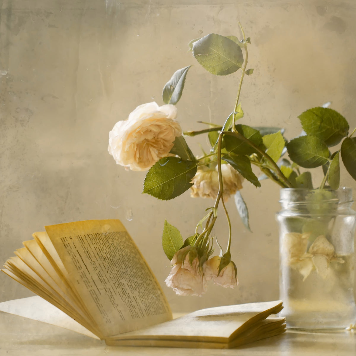 canvas-print-enjoying-a-rainy-day-x