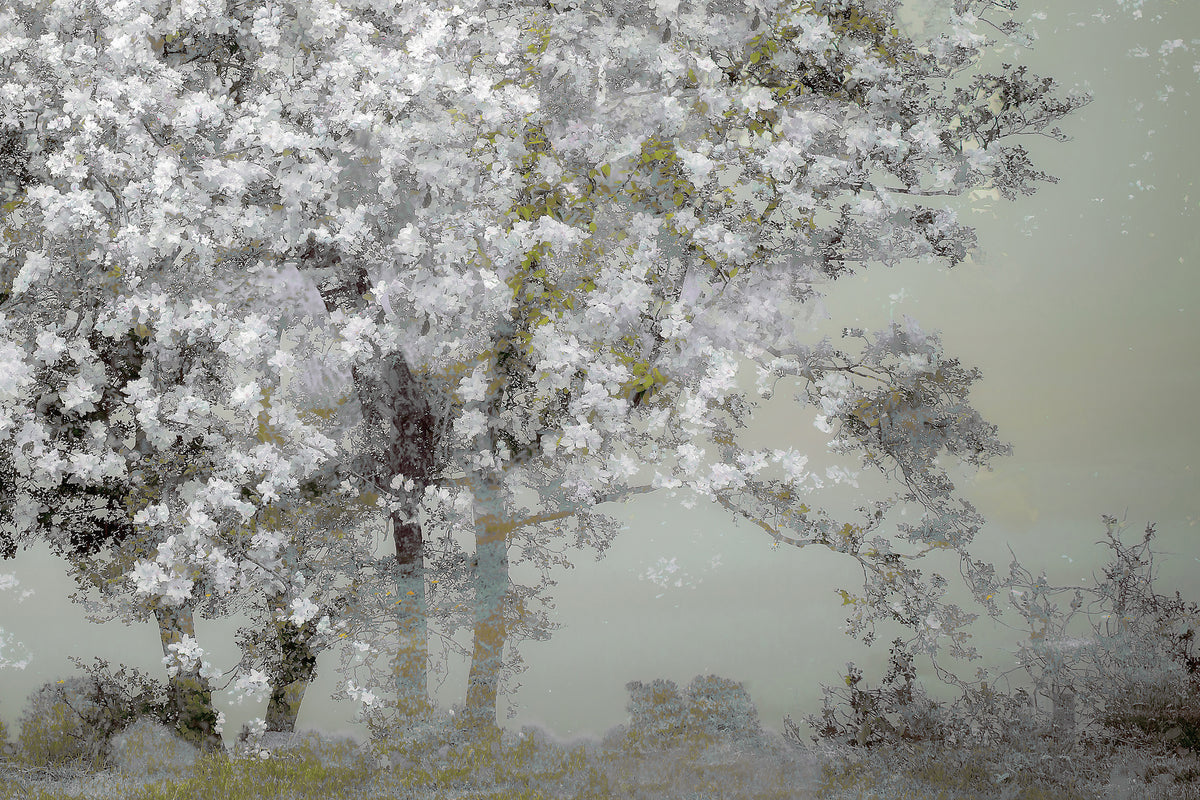 framedposter-print-spring-xep