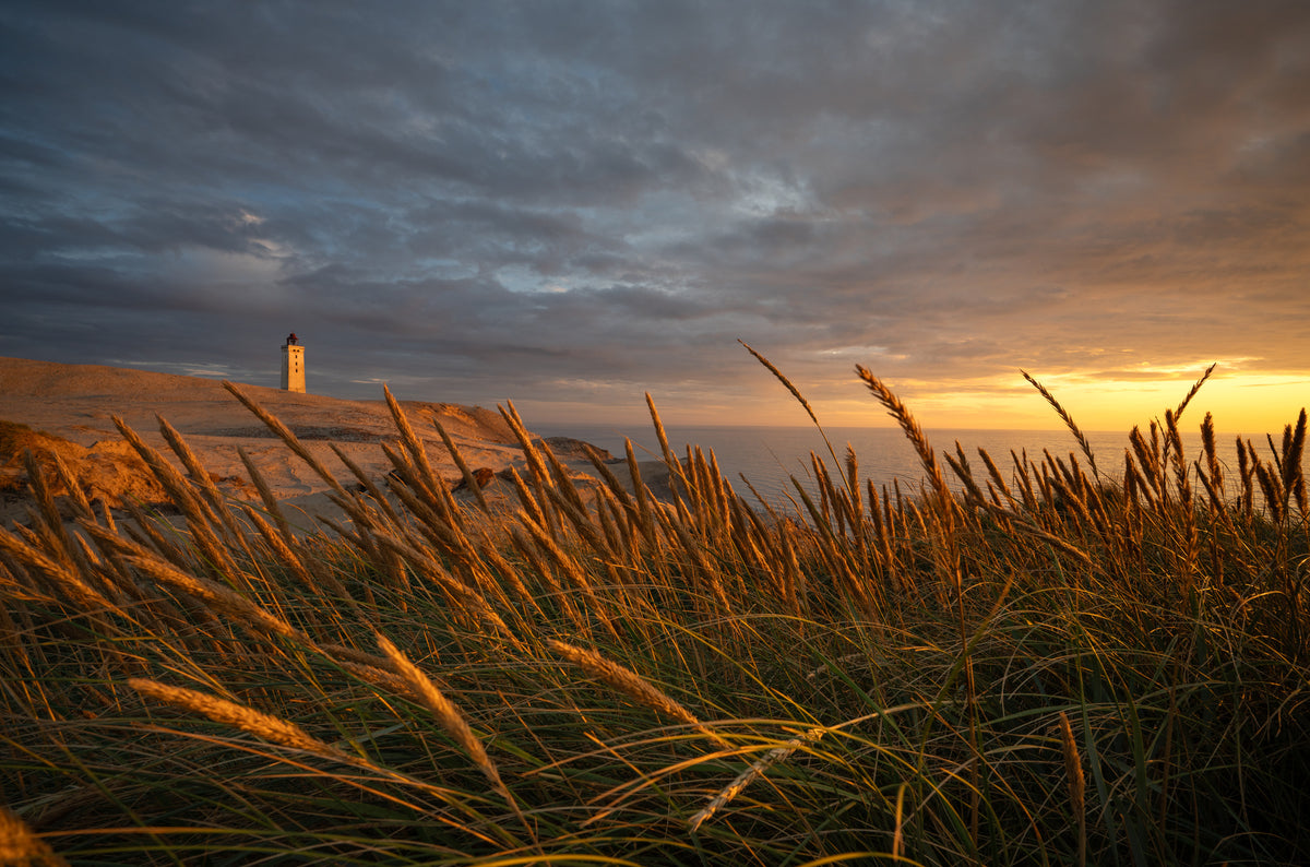 framedposter-print-lighthouse-beyond-the-dunes