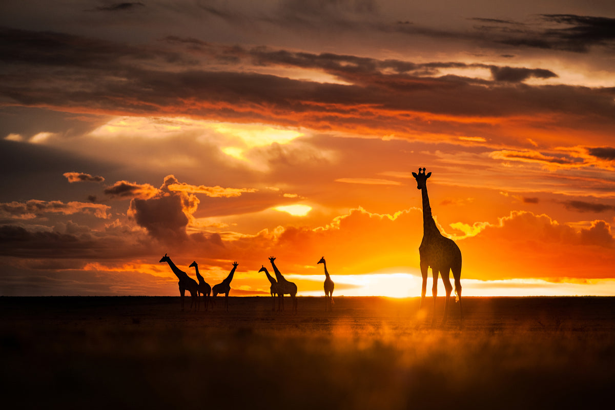 framedposter-print-end-of-the-day-x