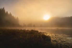 aluminium-print-the-incredible-light-of-an-october-morning