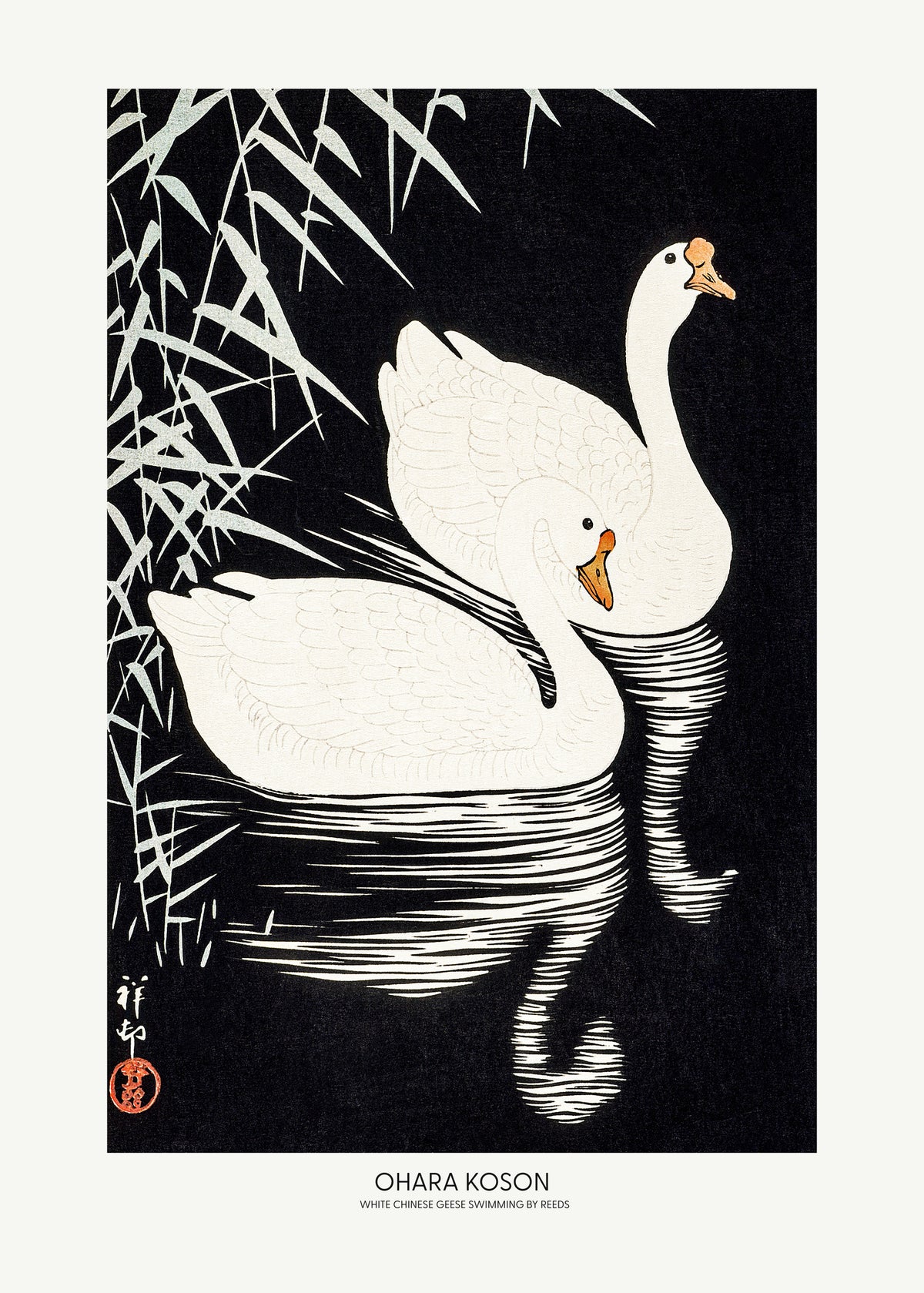 framedposter-print-white-chinese-geese-swimming-by-reeds