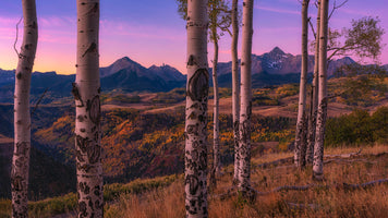 acrylic-print-aspen-frames