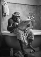 canvas-print-monkey-in-the-bathroom