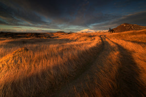 canvas-print-the-long-winding-road-x