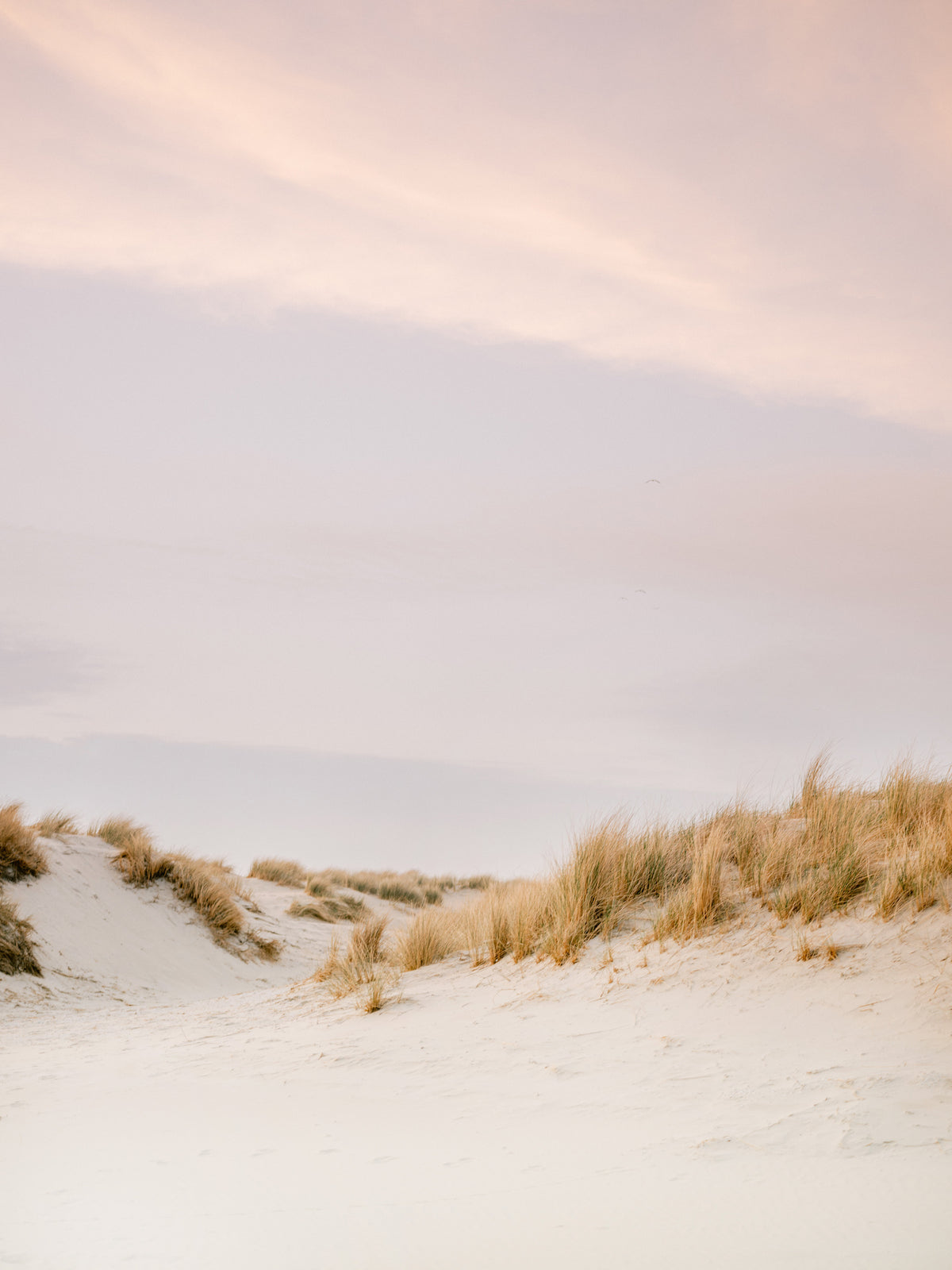 aluminium-print-ameland-dunes-3