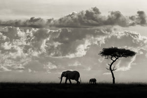 modern-3-piece-canvas-print-silhouettes-of-mara