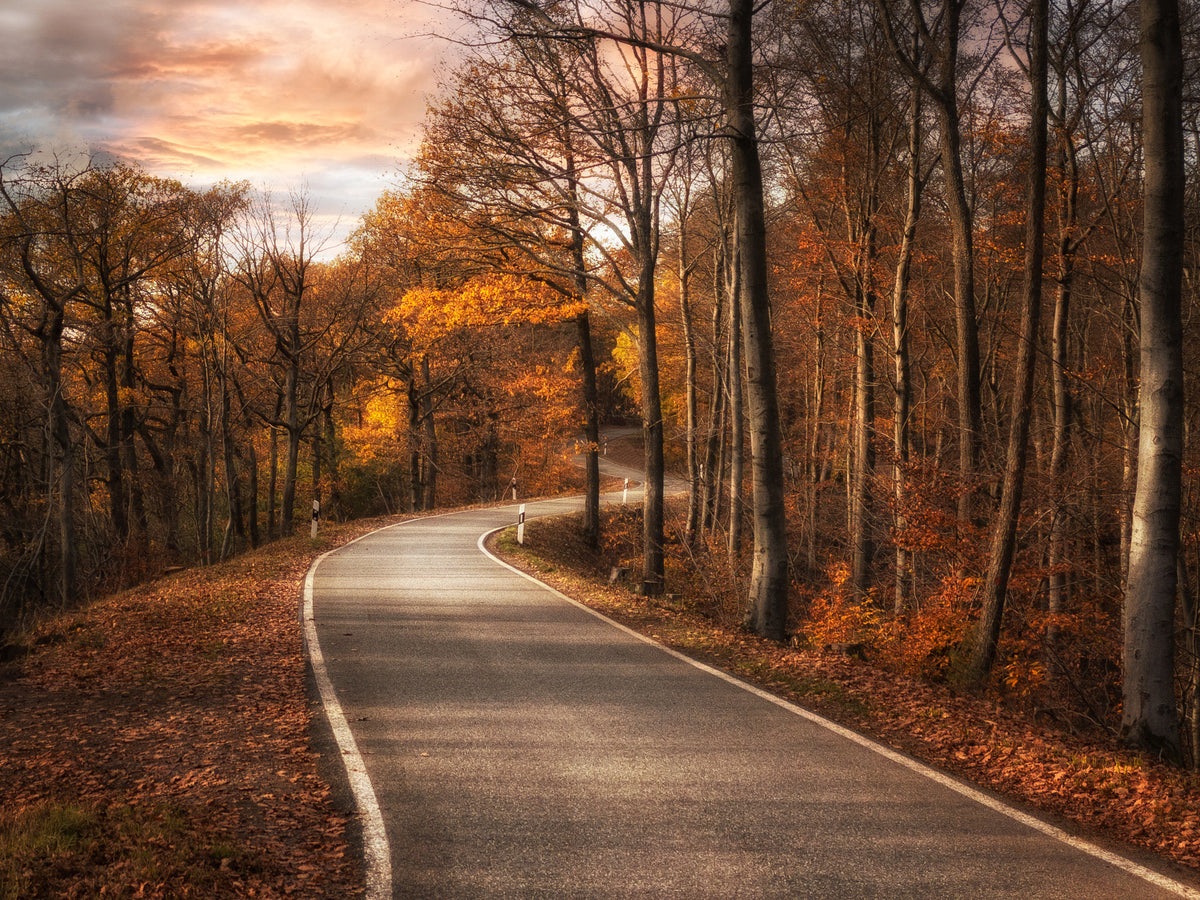 framedcanvas-print-the-road