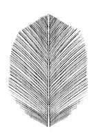 canvas-print-feather