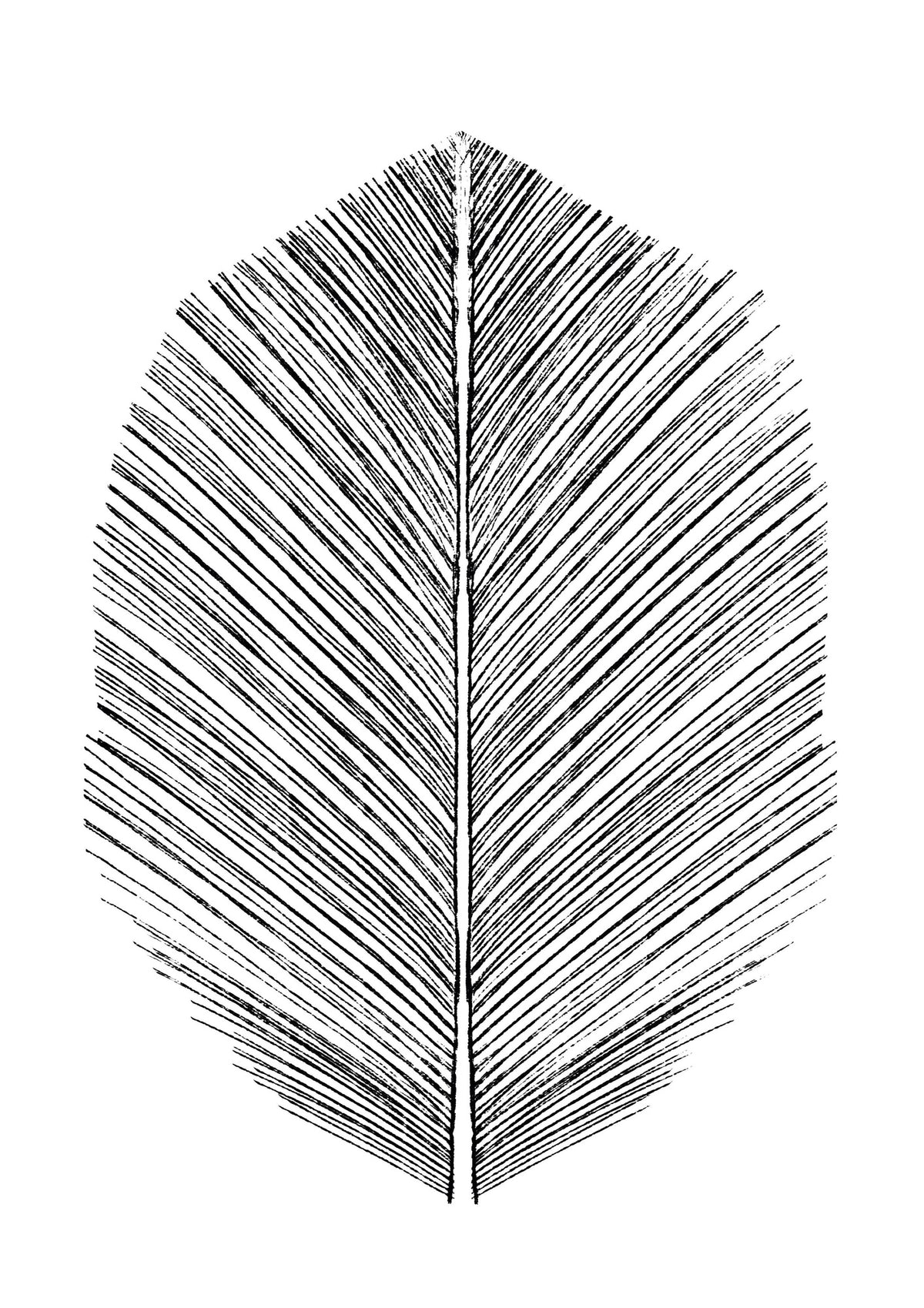 canvas-print-feather
