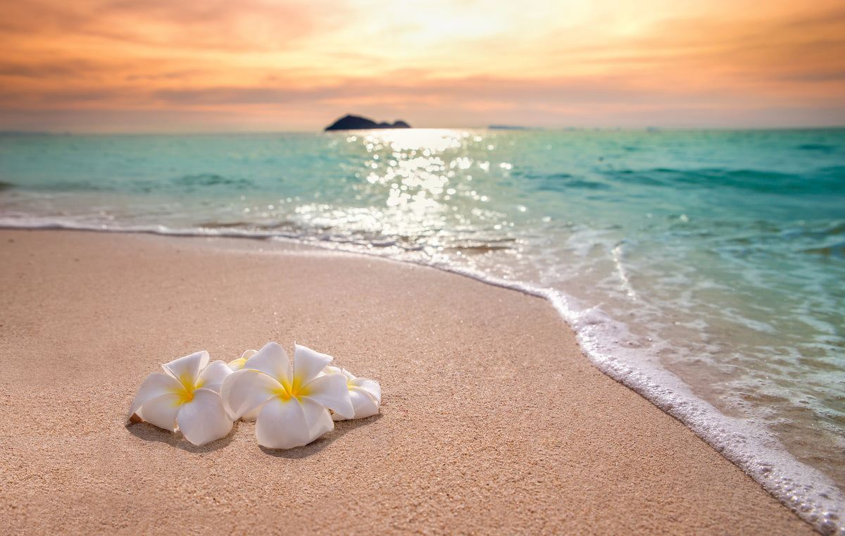 poster-print-wellness-and-beauty-in-the-ocean