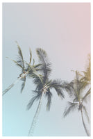 canvas-print-pastel-palms-bliss