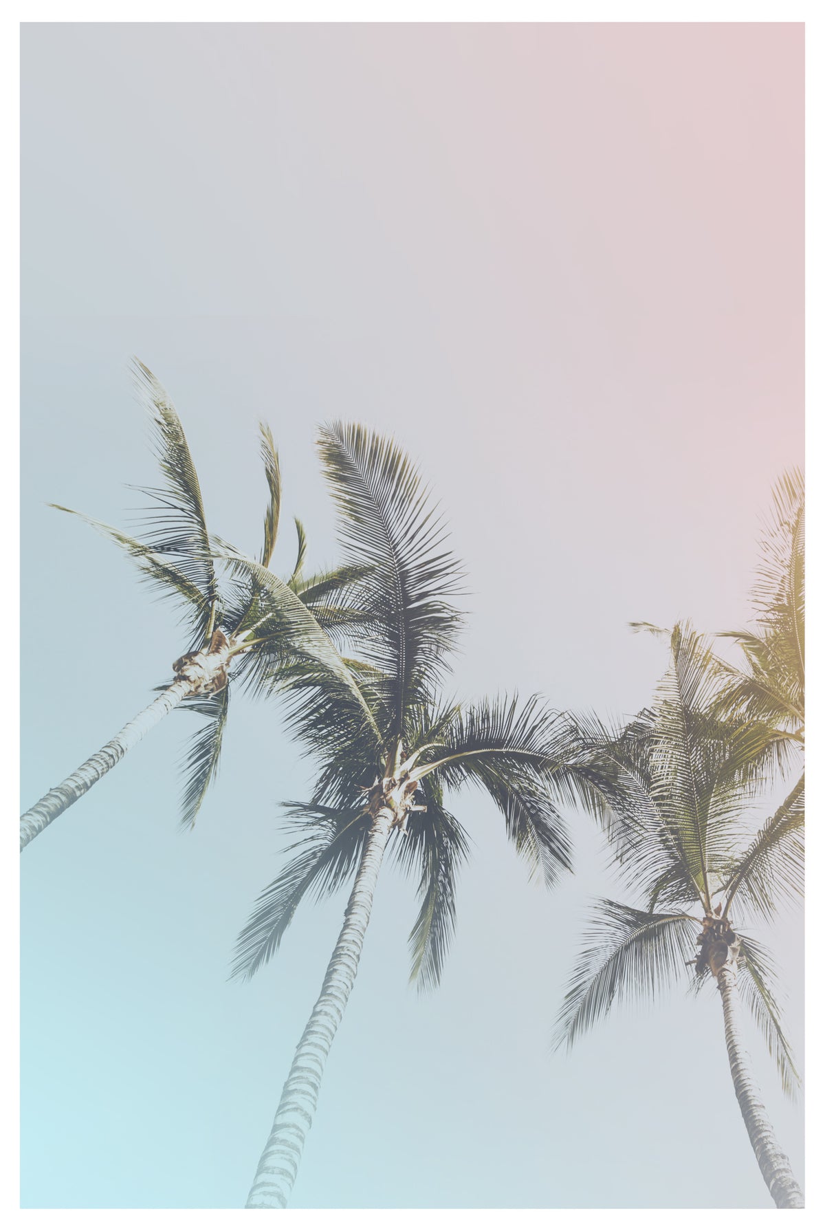 canvas-print-pastel-palms-bliss