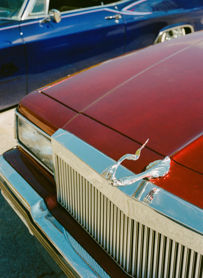 poster-print-dallas-ride-xv-on-film