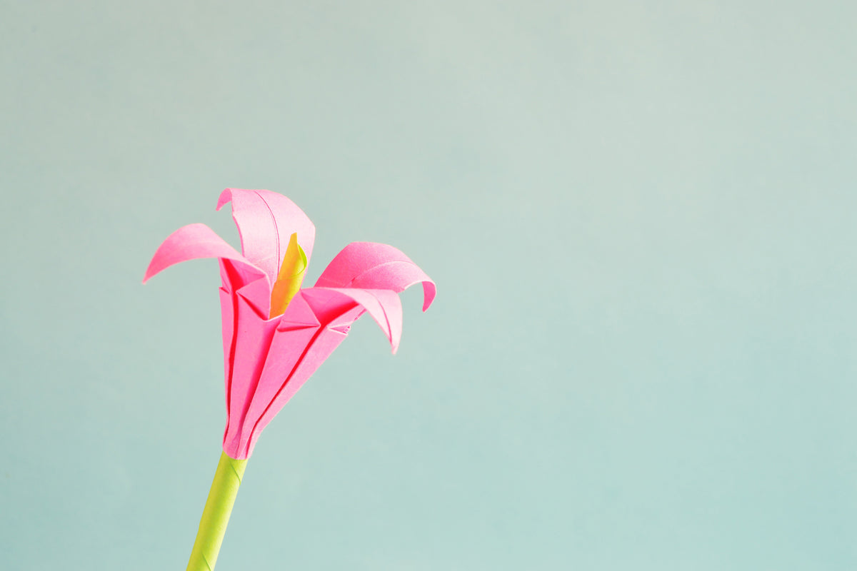acrylic-print-flowers-origami