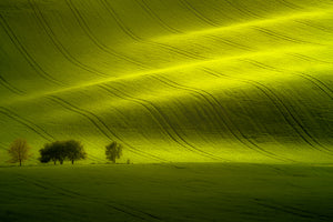 canvas-print-sunlight-xow