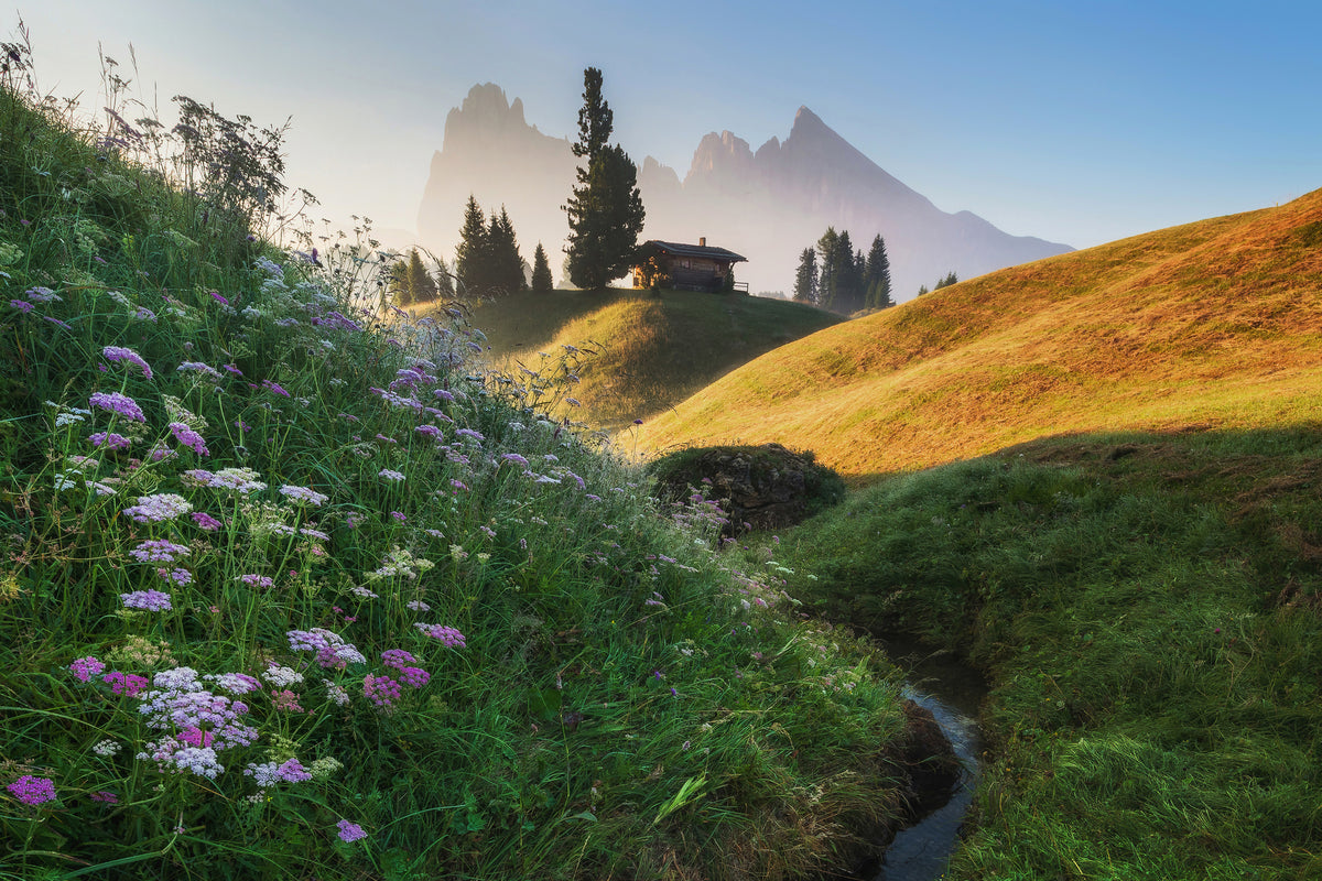 framedposter-print-flowery-morning-x