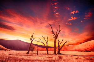 3-piece-aluminium-print-colorful-desert