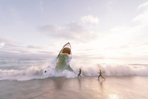 framedcanvas-print-beware-shark