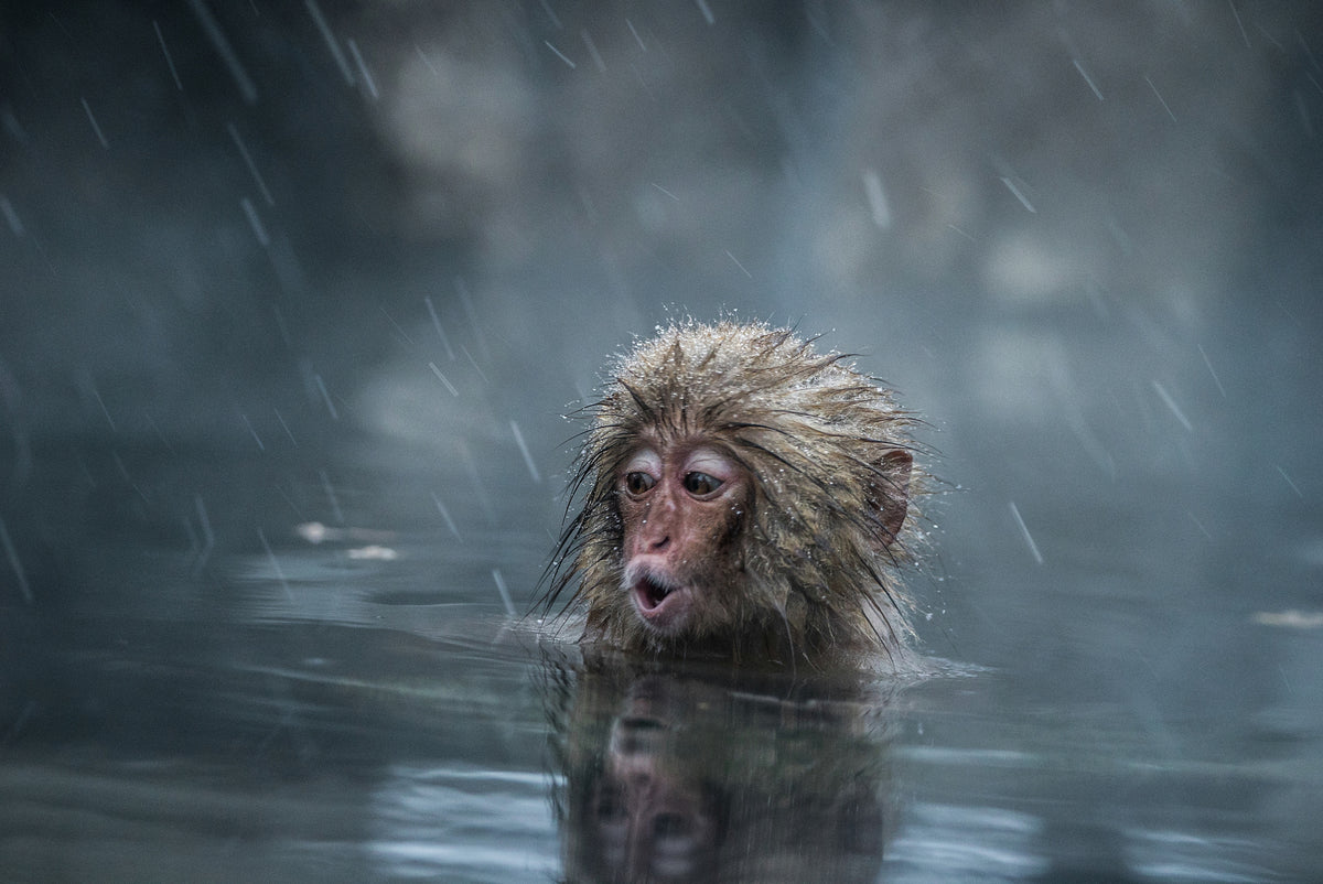 framedposter-print-mom