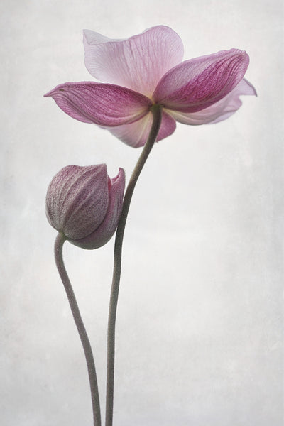 poster-print-a-little-touch-x