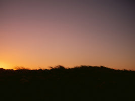 framedcanvas-print-dune-grass-sunset-horizontal