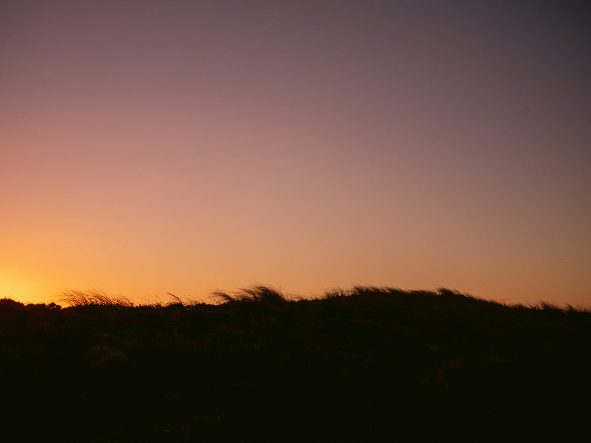 framedcanvas-print-dune-grass-sunset-horizontal