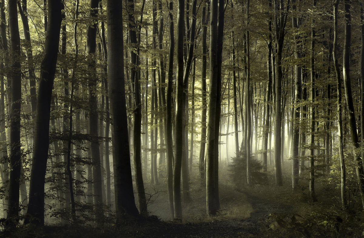 3-piece-canvas-print-into-the-unknown