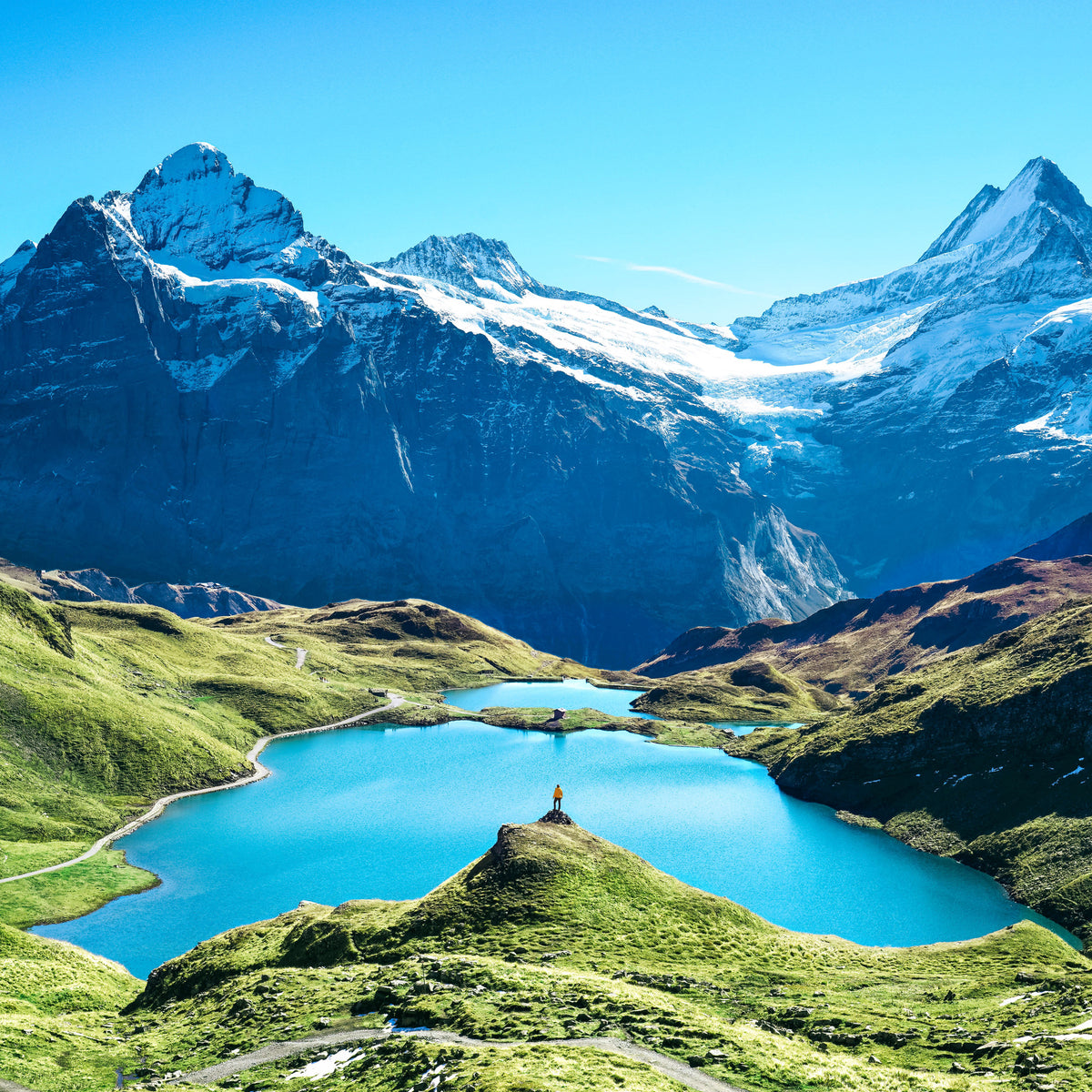 poster-print-bachalpsee-in-den-bergen