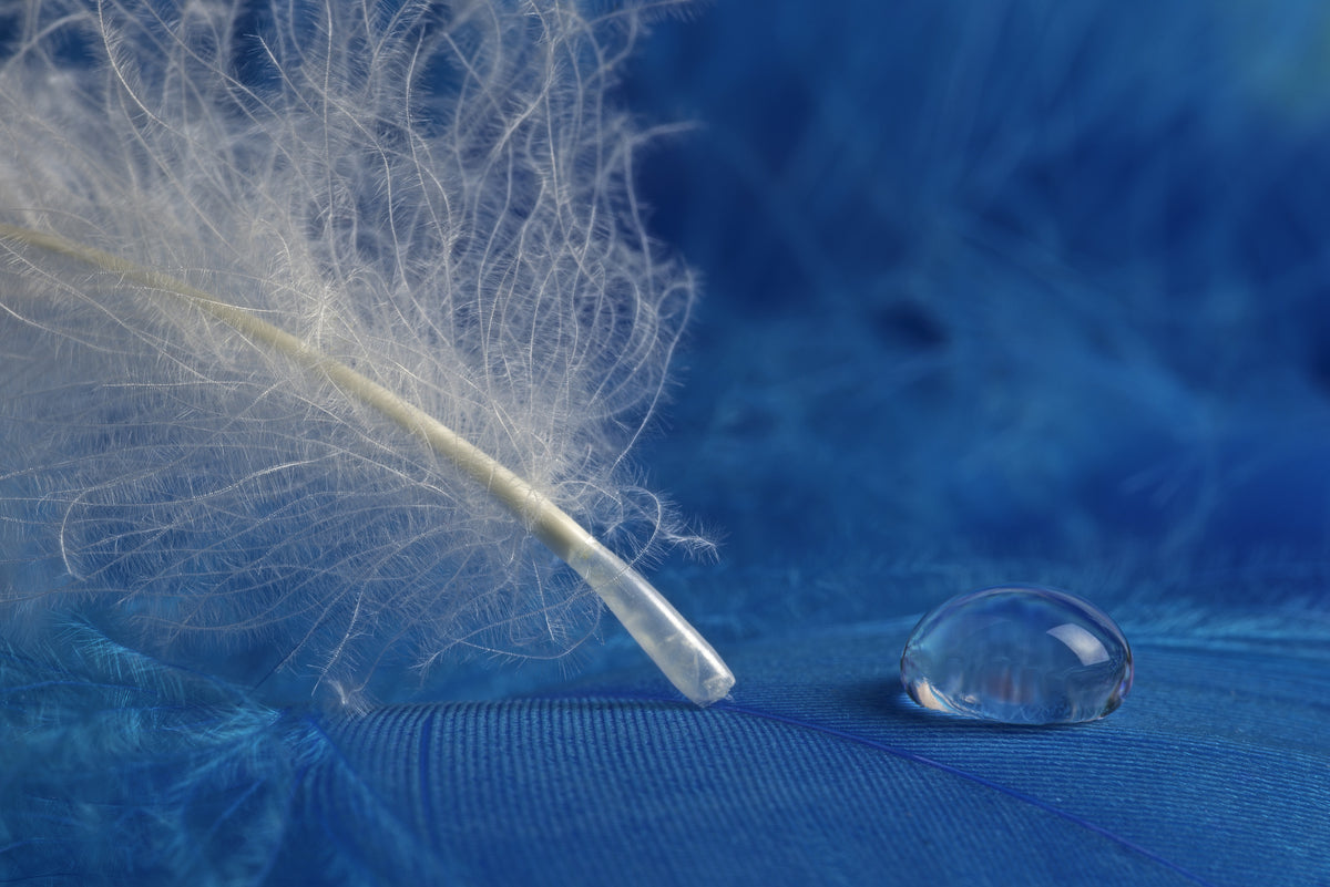 canvas-print-drop-3