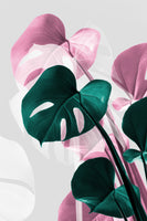 framedcanvas-print-monstera-creative-12
