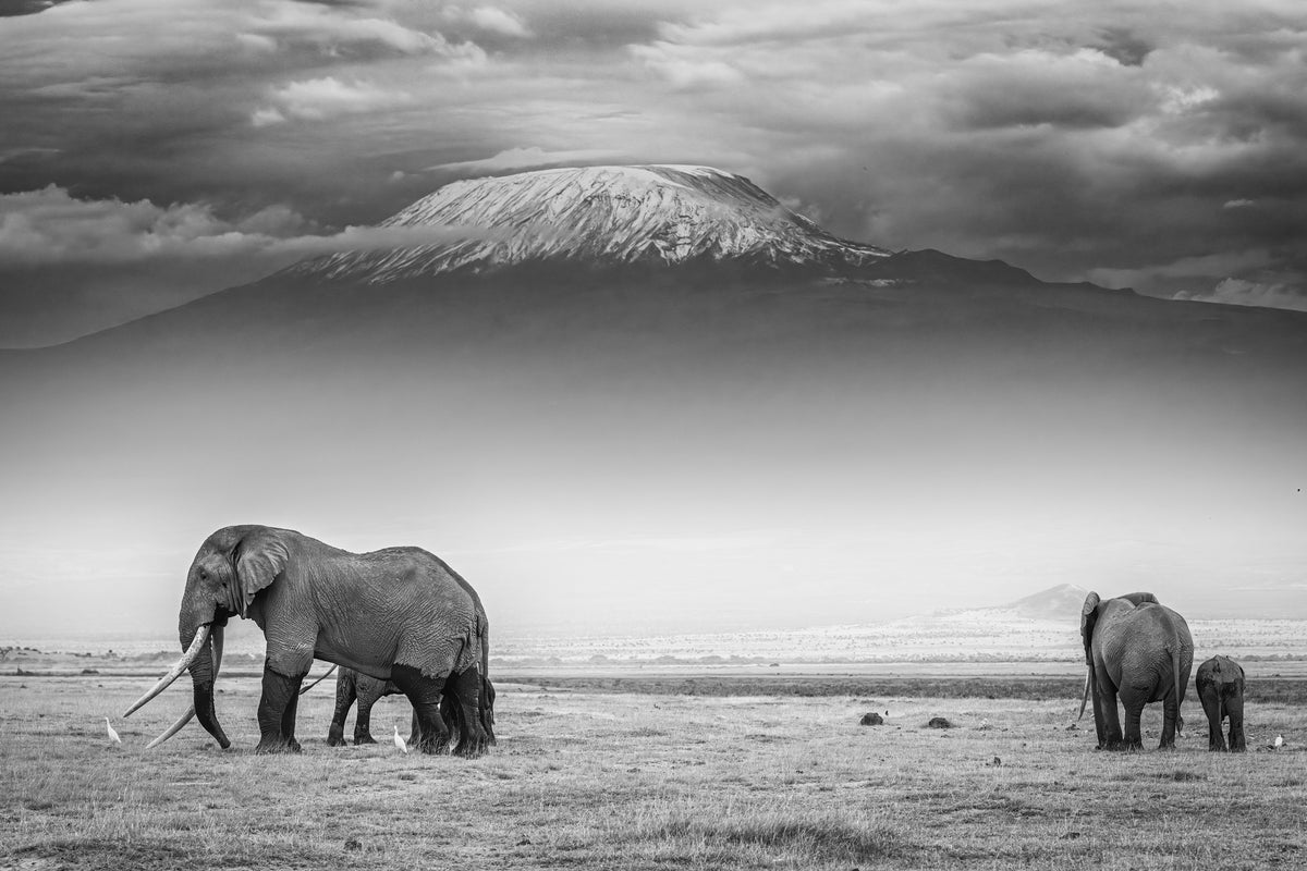 acrylic-print-the-land-of-giants-x