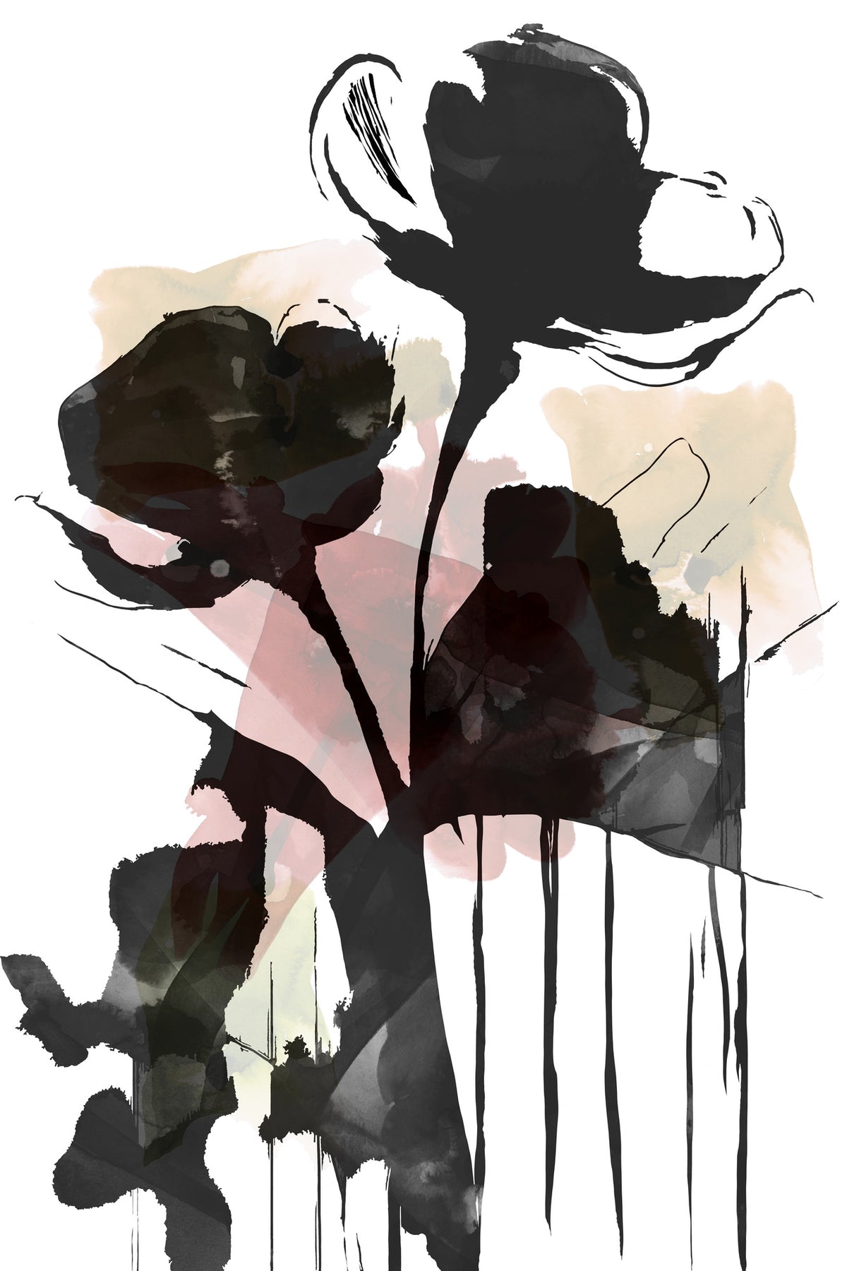 acrylic-print-black-floral-study-no1