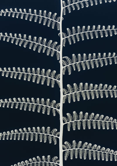 poster-print-white-fern-patterns