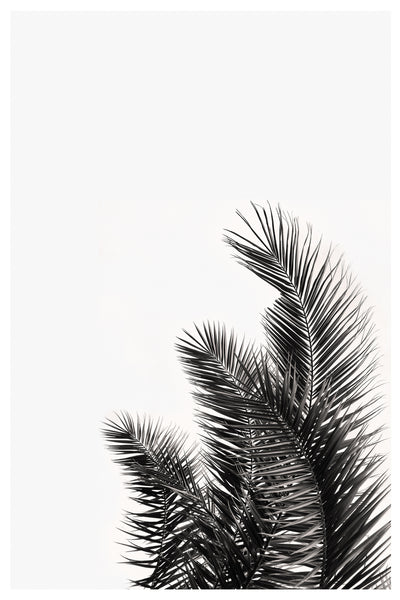 poster-print-palm-whisper