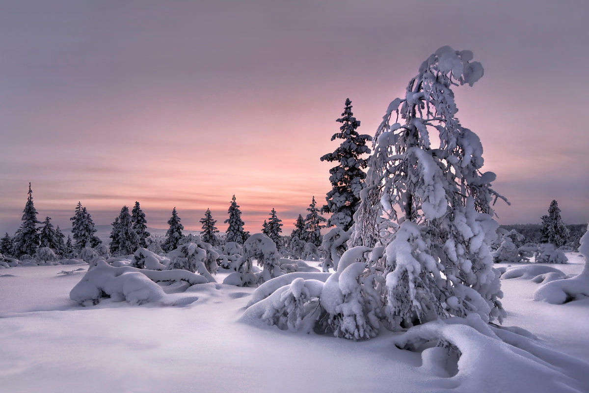 aluminium-print-lappland-winterwonderland-x