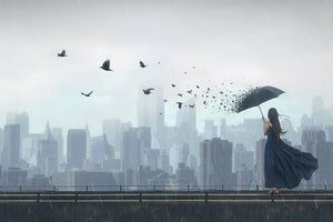 framedposter-print-fly-away