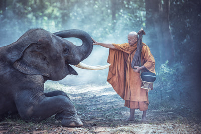 poster-print-asias-gentle-strength