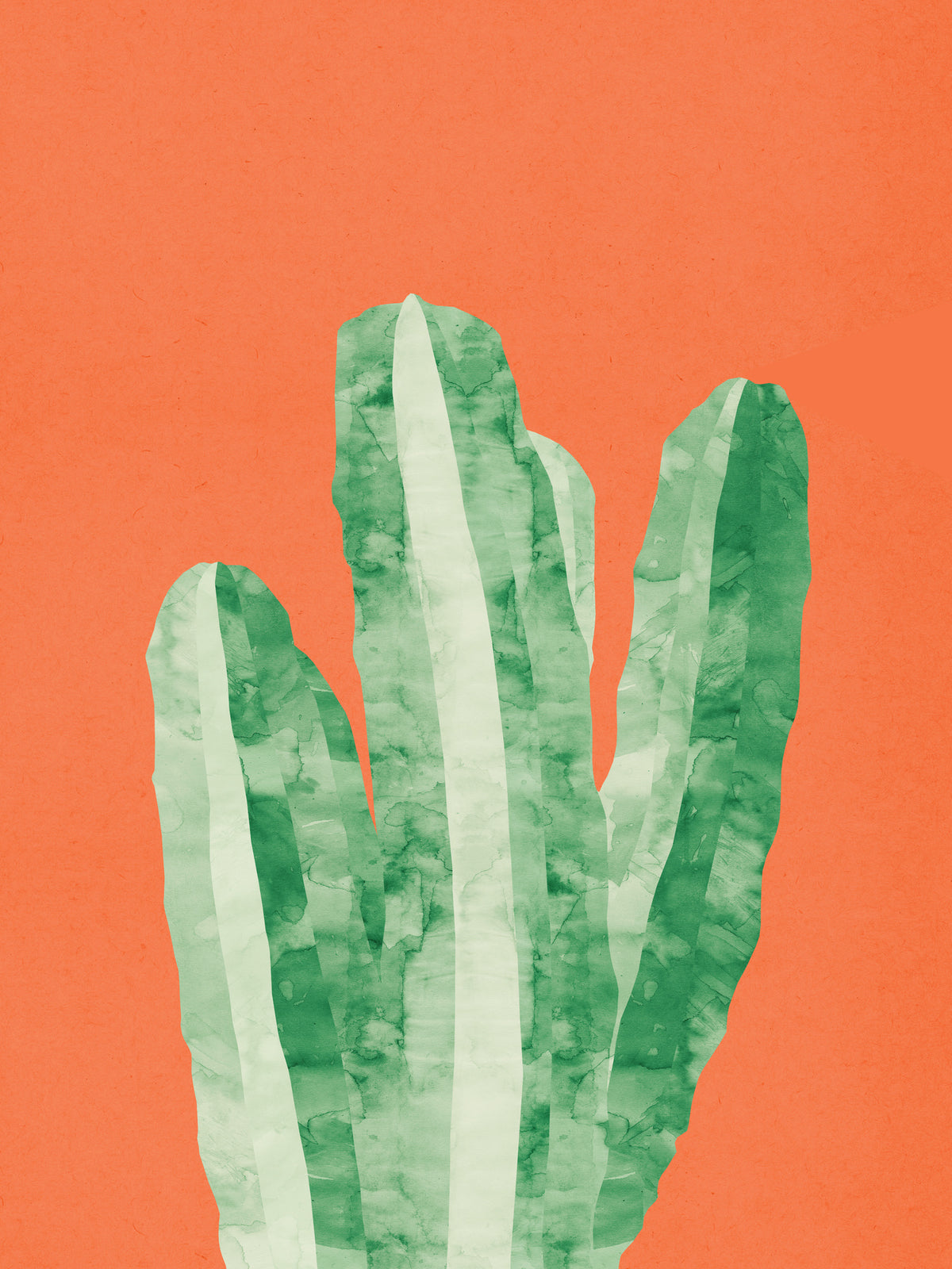 acrylic-print-modern-botanical-illustration