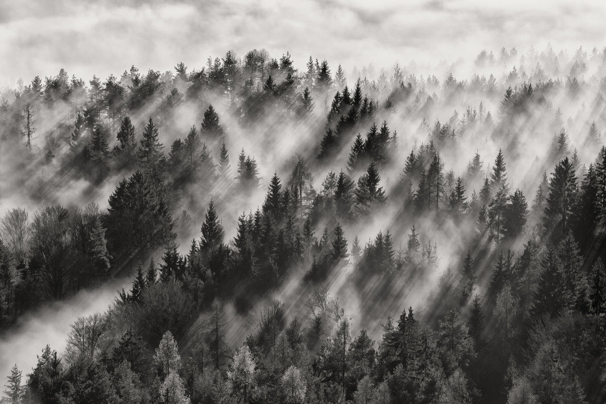 canvas-print-sundance-no-i