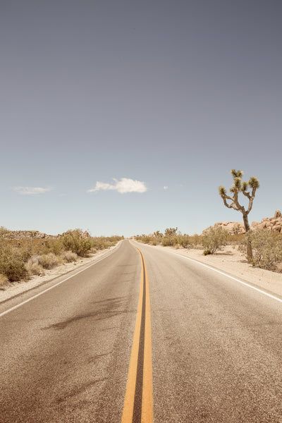 poster-print-deserted-highway