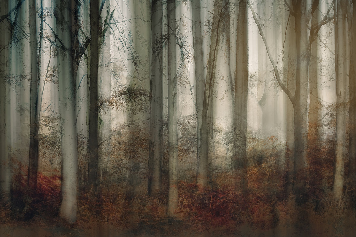 canvas-print-autumn-light-2