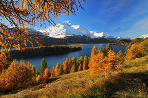 modern-3-piece-acrylic-print-autumn-day-on-lake-sils-in-the-engadin