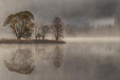 poster-print-october-morning