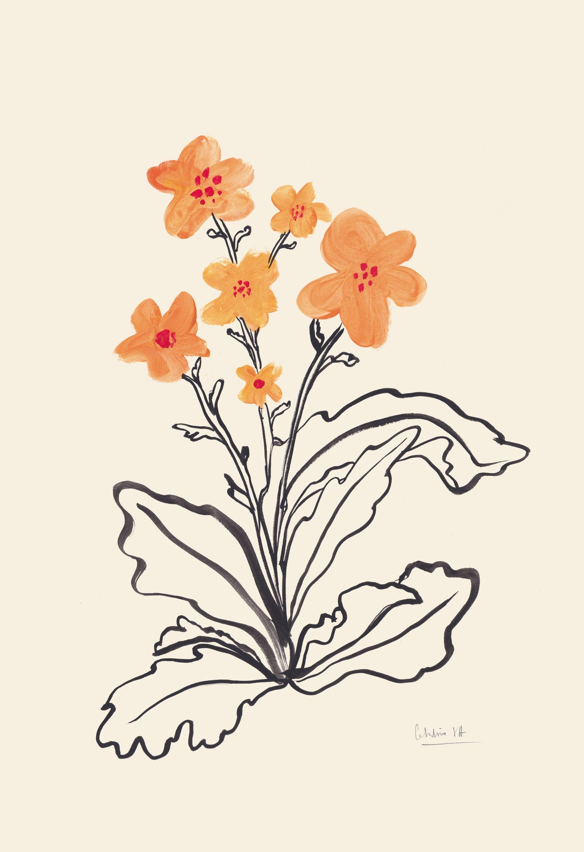 framedcanvas-print-primulas-flowers