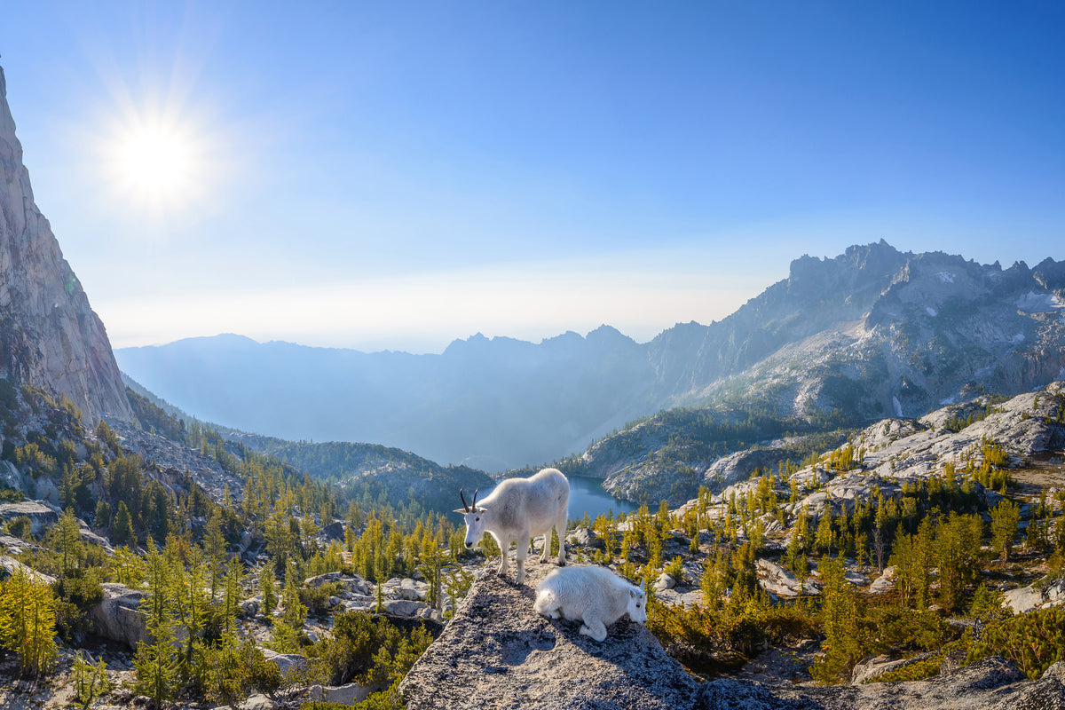 canvas-print-enchantment-prusik-pass-panorama-x