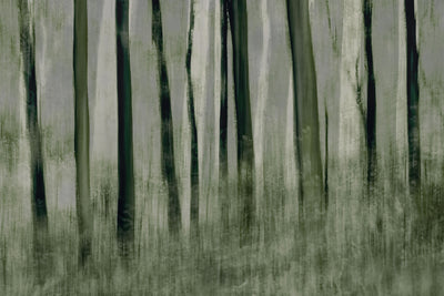 poster-print-trees-in-motion