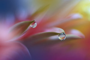 acrylic-print-sound-of-colors-x
