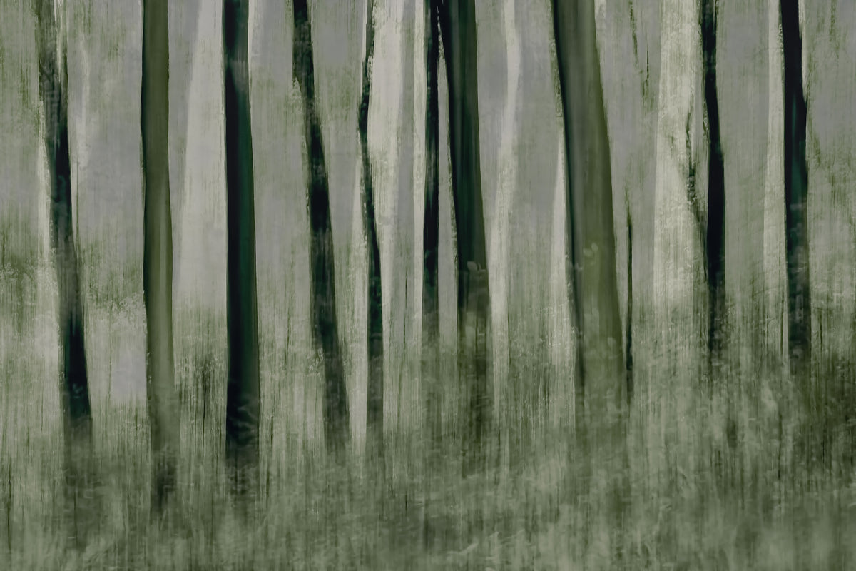 framedcanvas-print-trees-in-motion