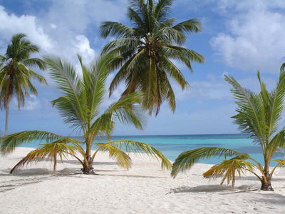 poster-print-iles-turkoises-beach-bahamas